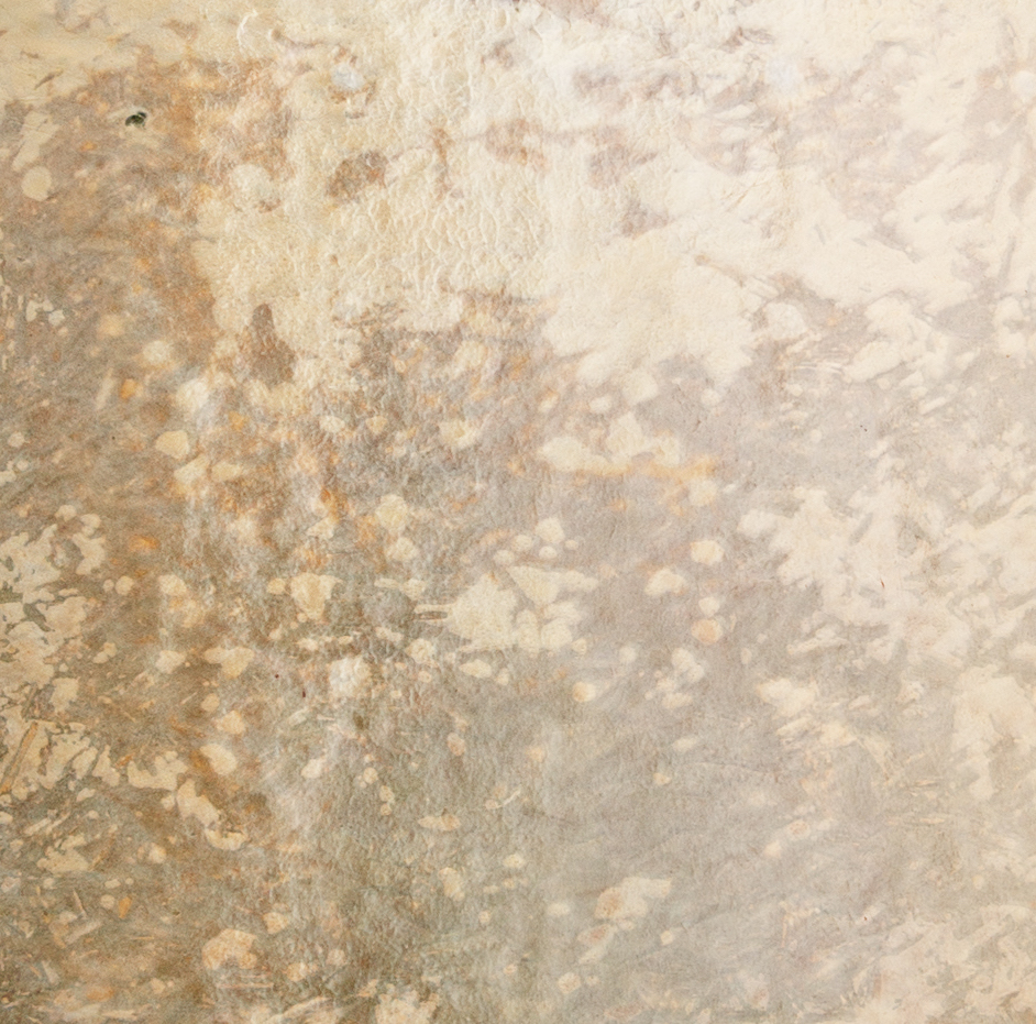 Loop Living Cocoon™ World's first living coffin