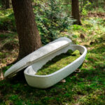 Image of the Loop Living Cocoon in the forest with an open lid, showing the moss lining.